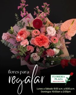¡Dígalo con flores! 💐✨
A veces las palabras no alcanzan, pero un detalle de Florería Plaza lo dice todo. Ya sea para celebrar un logro, un aniversario o simplemente para alegrar el día de esa persona especial, nuestros arreglos están diseñados para emocionar.
📍 Visítanos: Faja de Oro 204, Lomas de Rosales, Tampico. ⏰ Horarios:
Lunes a Sábado: 8:00 a.m. a 8:00 p.m.
Domingos: 10:00 a.m. a 2:00 p.m.
💬 ¿Tienes dudas o quieres hacer un pedido? Contáctanos por WhatsApp: 📲 812 320 4785 | 833 155 99 30