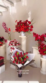 fresh flowers every day!
WhatsApp 8123204785 y 8331559930
floreriaplaza.com