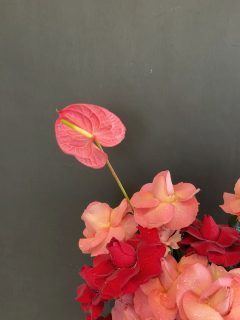 Shop online 24/7
WhatsApp 8123204785
https://tienda.floreriaplaza.com/