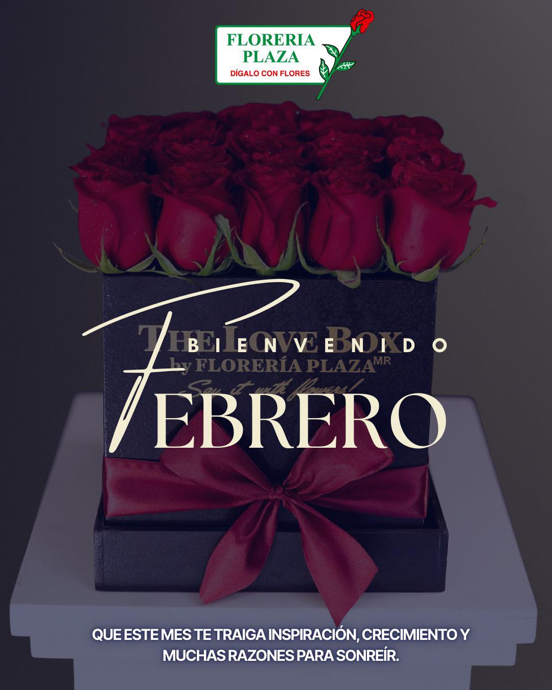 Febrero no es solo el mes del amor, es el mes de las nuevas oportunidades para florecer. ✨🌹
Queremos que cada día de este mes esté lleno de inspiración y motivos para sonreír. En Florería Plaza, estamos listos para acompañarte a decir lo que sientes con la elegancia que nos caracteriza.
¡Bienvenido, febrero! Que este mes sea tan espectacular como un ramo de rosas recién cortadas.
#FloreriaPlaza #BienvenidoFebrero
