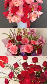 Shop online or visit us in store. 

WhatsApp: 8123204785
https://tienda.floreriaplaza.com/