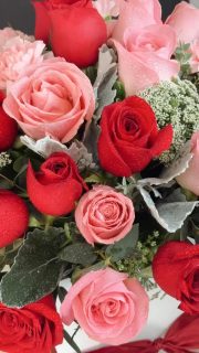 Compra desde donde estés. 

WhatsApp 8123204785
https://tienda.floreriaplaza.com/