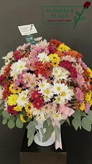 ¡Haz que sus ojos brillen! 💐✨
No hay mejor manera de decir "te quiero", "gracias" o "estoy pensando en ti" que con una explosión de color como esta. Nuestros hermosos arreglos diseñado para iluminar cualquier rincón y robar sonrisas.
¡Haz que hoy sea un día inolvidable con un detalle de Florería Plaza!
📍 Visítanos: Faja de Oro 204, Col. Lomas de Rosales.
🚗 Servicio a domicilio en toda la zona conurbada.
💬 Cotiza aquí: 📲 812 320 4785
📲 833 155 99 30