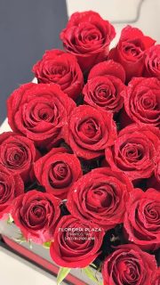 Compra desde donde estés en https://tienda.floreriaplaza.com/ o por WhatsApp al 8123204785