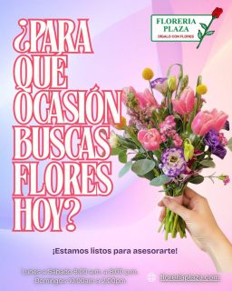 Para qué ocasión buscas flores hoy?

¡Estamos listos para asesorarte! Deja tus dudas aquí. 👇 

Escríbenos tu respuesta ⬇️