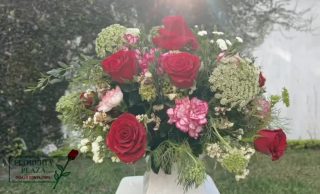 ¡La belleza que tus momentos especiales merecen! 🌹✨

En Florería Tampico, no solo entregamos flores; entregamos sentimientos. Cada detalle en este arreglo ha sido cuidado para garantizar frescura, elegancia y esa sonrisa que tanto buscas.
Somos los mejores de la zona porque amamos lo que hacemos. ¿Quieres sorprender hoy?

⭐ Calidad garantizada
⭐ Diseños exclusivos
⭐ Atención personalizada

¡Haz tu pedido ahora y deja que las flores hablen por ti!

📲 WhatsApp: 833 150 9930