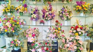 🌼¡𝗖𝗲𝗹𝗲𝗯𝗿𝗮 𝗹𝗮 𝗣𝗿𝗶𝗺𝗮𝘃𝗲𝗿𝗮!🌼
🛒 Compra desde donde estés, fácil y rápido
aquí: https://tienda.floreriaplaza.com/
¿Prefieres atención personal?
📍 Visítanos: Faja de Oro 204, Lomas de Rosales, Tampico
📞 Llámanos: 833 224 4128, 833 224 4129, 833 224 1144
📲 WhatsApp: https://bit.ly/WhatsAppFloreriaPlaza 833 155 9930
#floreriaplazalomas #floreriaplazaentampico #dígaloconflores #TampicoMadero #FloresAmarillas #ventaenlínea #floresnaturales #primavera