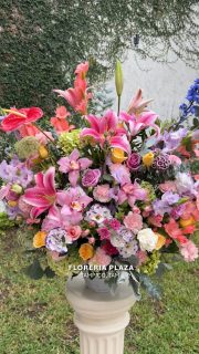 🛒 Compra desde donde estés, fácil y rápido
aquí: https://tienda.floreriaplaza.com/
¿Prefieres atención personal?
📍 Visítanos: Faja de Oro 204, Lomas de Rosales, Tampico
📞 Llámanos: 833 224 4128, 833 224 4129, 833 224 1144
📲 WhatsApp: https://wa.me/5218331559930
#floreriaplazalomas #floreriaplazaentampico #dígaloconflores #TampicoMadero #ventaenlínea #floresnaturales #primavera