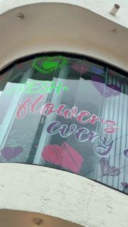 Compra desde donde estés por WhatsApp al 8123204785 | 8331559930 o visítanos!
📍 Faja de Oro 204 col. Lomas de Rosales
https://tienda.floreriaplaza.com/