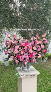 🛒 Compra desde donde estés, fácil y rápido
aquí: https://tienda.floreriaplaza.com/
¿Prefieres atención personal? 
📍 Visítanos: Faja de Oro 204, Lomas de Rosales, Tampico 
📞 Llámanos: 833 224 4128, 833 224 4129, 833 224 1144
📲 WhatsApp: https://wa.me/5218331559930
#floreriaplazalomas #floreriaplazaentampico #dígaloconflores #TampicoMadero #ventaenlínea #floresnaturales #primavera