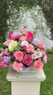 🛒 Compra desde donde estés, fácil y rápido
aquí: https://tienda.floreriaplaza.com/
¿Prefieres atención personal? 
📍 Visítanos: Faja de Oro 204, Lomas de Rosales, Tampico 
📞 Llámanos: 833 224 4128, 833 224 4129, 833 224 1144
📲 WhatsApp: https://wa.me/5218331559930
#floreriaplazalomas #floreriaplazaentampico #dígaloconflores #TampicoMadero #ventaenlínea #floresnaturales #primavera
