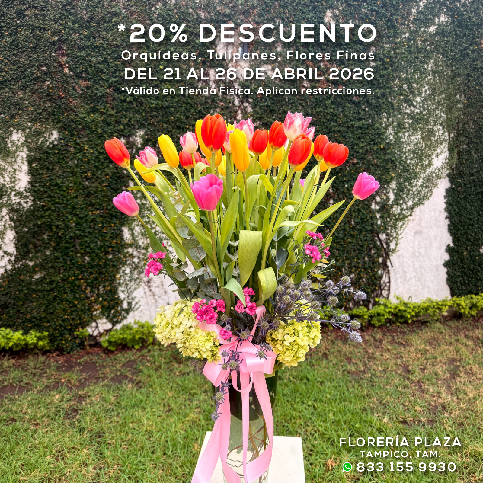 𝟮𝟬% 𝗱𝗲 𝗗𝗘𝗦𝗖𝗨𝗘𝗡𝗧𝗢 𝗱𝗲𝗹 𝟮𝟭 𝗮𝗹 𝟮𝟲 𝗱𝗲 𝗔𝗯𝗿𝗶𝗹
Orquídeas, Tulipanes, Flores Finas
*Válido en Tienda Fisica. Se aplican restricciones.
📍 Visítanos: Faja de Oro 204, Lomas de Rosales, Tampico 
📞 Llámanos: 833 224 4128, 833 224 4129, 833 224 1144
📲 WhatsApp: https://wa.me/5218331559930

#floreriaplazalomas #floreriaplazaentampico #dígaloconflores #TampicoMadero #floresnaturales #primavera