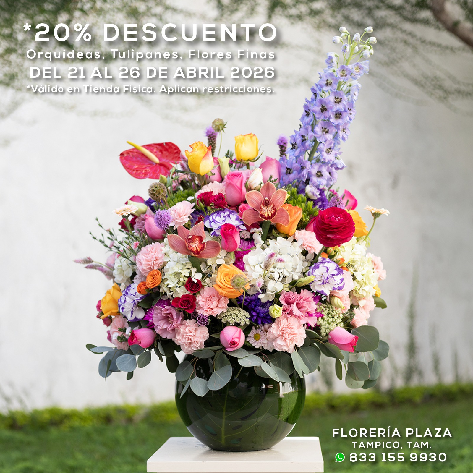 𝟮𝟬% 𝗱𝗲 𝗗𝗘𝗦𝗖𝗨𝗘𝗡𝗧𝗢 𝗱𝗲𝗹 𝟮𝟭 𝗮𝗹 𝟮𝟲 𝗱𝗲 𝗔𝗯𝗿𝗶𝗹
Orquídeas, Tulipanes, Flores Finas
*Válido en Tienda Fisica. Se aplican restricciones.
📍 Visítanos: Faja de Oro 204, Lomas de Rosales, Tampico 
📞 Llámanos: 833 224 4128, 833 224 4129, 833 224 1144
📲 WhatsApp: https://wa.me/5218331559930

#floreriaplazalomas #floreriaplazaentampico #dígaloconflores #TampicoMadero #floresnaturales