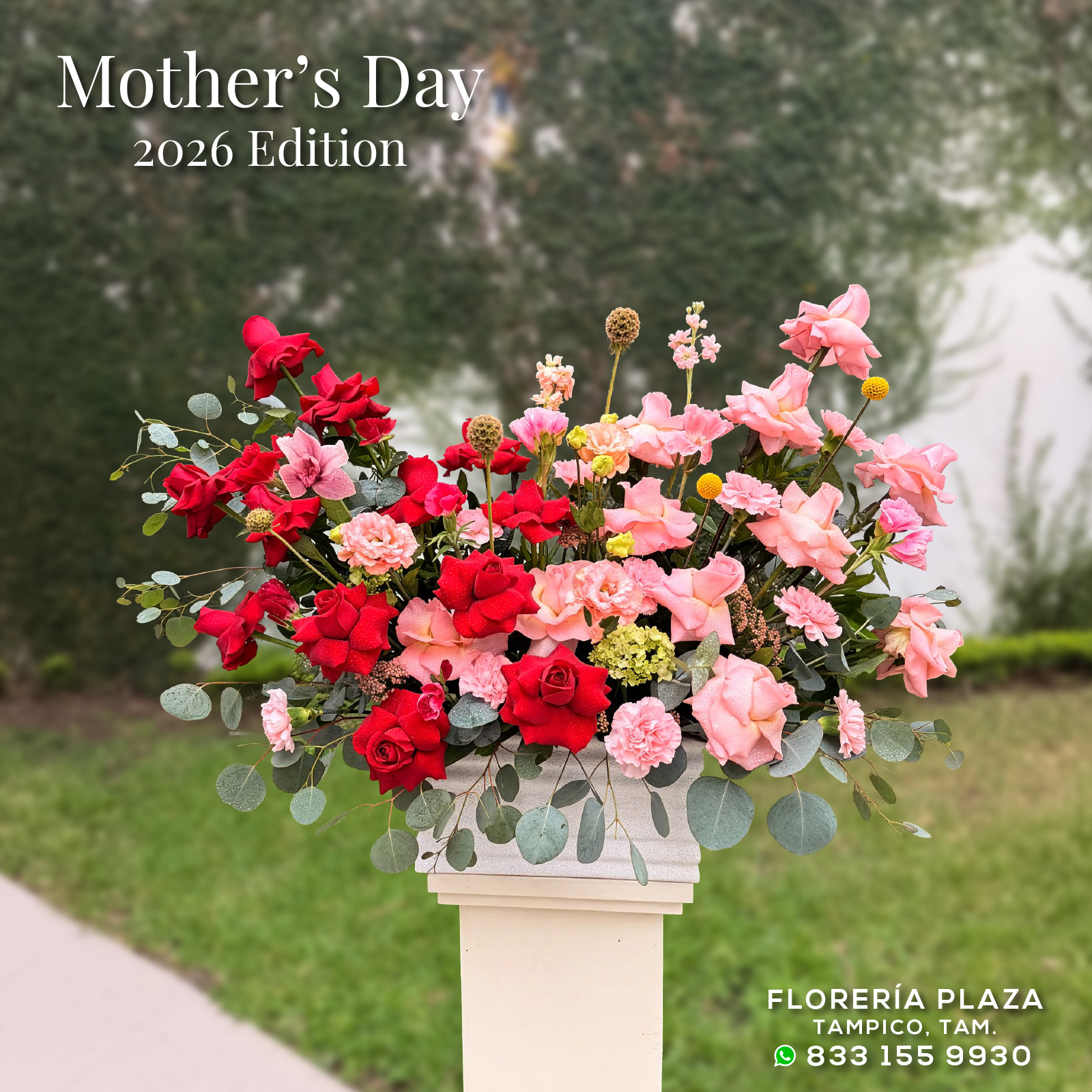 Mother's Day 2026 Edition
Sorprende a Mamá, calendariza su entrega con tiempo.
🛒 Compra desde donde estés, fácil y rápido
aquí: https://tienda.floreriaplaza.com/
¿Prefieres atención personal?
📍 Visítanos: Faja de Oro 204, Lomas de Rosales, Tampico
📞 Llámanos: 833 224 4128, 833 224 4129, 833 224 1144
📲 WhatsApp: https://wa.me/5218331559930
#floreriaplazalomas #floreriaplazaentampico #dígaloconflores #TampicoMadero #ventaenlínea #floresnaturales #primavera