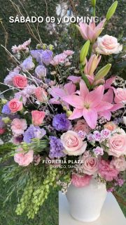 Mother's Day 2026 Edition
Sorprende a Mamá, calendariza su entrega con tiempo.
🛒 Compra desde donde estés, fácil y rápido
aquí: https://tienda.floreriaplaza.com/
¿Prefieres atención personal?
📍 Visítanos: Faja de Oro 204, Lomas de Rosales, Tampico
📞 Llámanos: 833 224 4128, 833 224 4129, 833 224 1144
📲 WhatsApp: https://wa.me/5218331559930
#floreriaplazalomas #floreriaplazaentampico #dígaloconflores #TampicoMadero #ventaenlínea #floresnaturales #mothersday