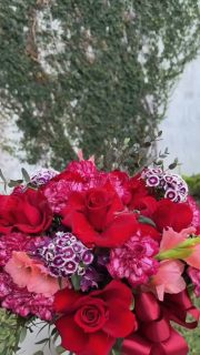 Say it with flowers!

WhatsApp 8123204785 | https://tienda.floreriaplaza.com/
