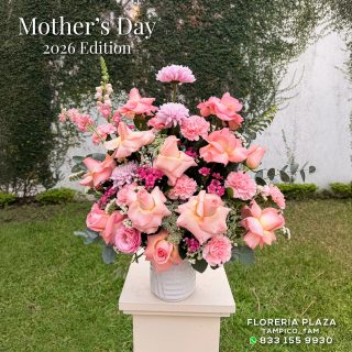 Mother's Day 2026 Edition
Sorprende a Mamá, calendariza su entrega con tiempo.
🛒 Compra desde donde estés, fácil y rápido
aquí: https://tienda.floreriaplaza.com/
¿Prefieres atención personal?
📍 Visítanos: Faja de Oro 204, Lomas de Rosales, Tampico
📞 Llámanos: 833 224 4128, 833 224 4129, 833 224 1144
📲 WhatsApp: https://wa.me/5218331559930
#floreriaplazalomas #floreriaplazaentampico #dígaloconflores #TampicoMadero #ventaenlínea #floresnaturales #mothersday