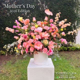 Mother's Day 2026 Edition
Sorprende a Mamá, calendariza su entrega con tiempo.
🛒 Compra desde donde estés, fácil y rápido
aquí: https://tienda.floreriaplaza.com/
¿Prefieres atención personal?
📍 Visítanos: Faja de Oro 204, Lomas de Rosales, Tampico
📞 Llámanos: 833 224 4128, 833 224 4129, 833 224 1144
📲 WhatsApp: https://wa.me/5218331559930
#floreriaplazalomas #floreriaplazaentampico #dígaloconflores #TampicoMadero #ventaenlínea #floresnaturales #mothersday