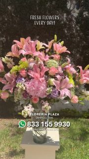 Fresh Flowers Every Day!
🛒 Compra desde donde estés, fácil y rápido
aquí: https://tienda.floreriaplaza.com/
¿Prefieres atención personal?
📍 Visítanos: Faja de Oro 204, Lomas de Rosales, Tampico
📞 Llámanos: 833 224 4128, 833 224 4129, 833 224 1144
📲 WhatsApp: https://wa.me/5218331559930
#floreriaplazalomas #floreriaplazaentampico #dígaloconflores #TampicoMadero #ventaenlínea #floresnaturales