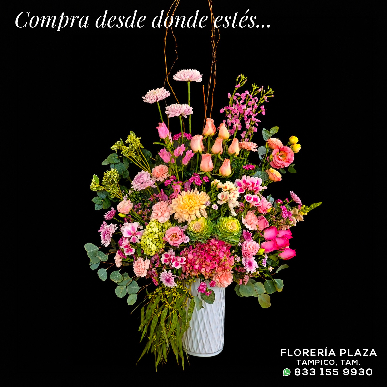 Fresh Flowers Every Day!
🛒 Compra desde donde estés, fácil y rápido
aquí: https://tienda.floreriaplaza.com/
¿Prefieres atención personal?
📍 Visítanos: Faja de Oro 204, Lomas de Rosales, Tampico
📞 Llámanos: 833 224 4128, 833 224 4129, 833 224 1144
📲 WhatsApp: https://wa.me/5218331559930
#floreriaplazalomas #floreriaplazaentampico #dígaloconflores #TampicoMadero #ventaenlínea #floresnaturales