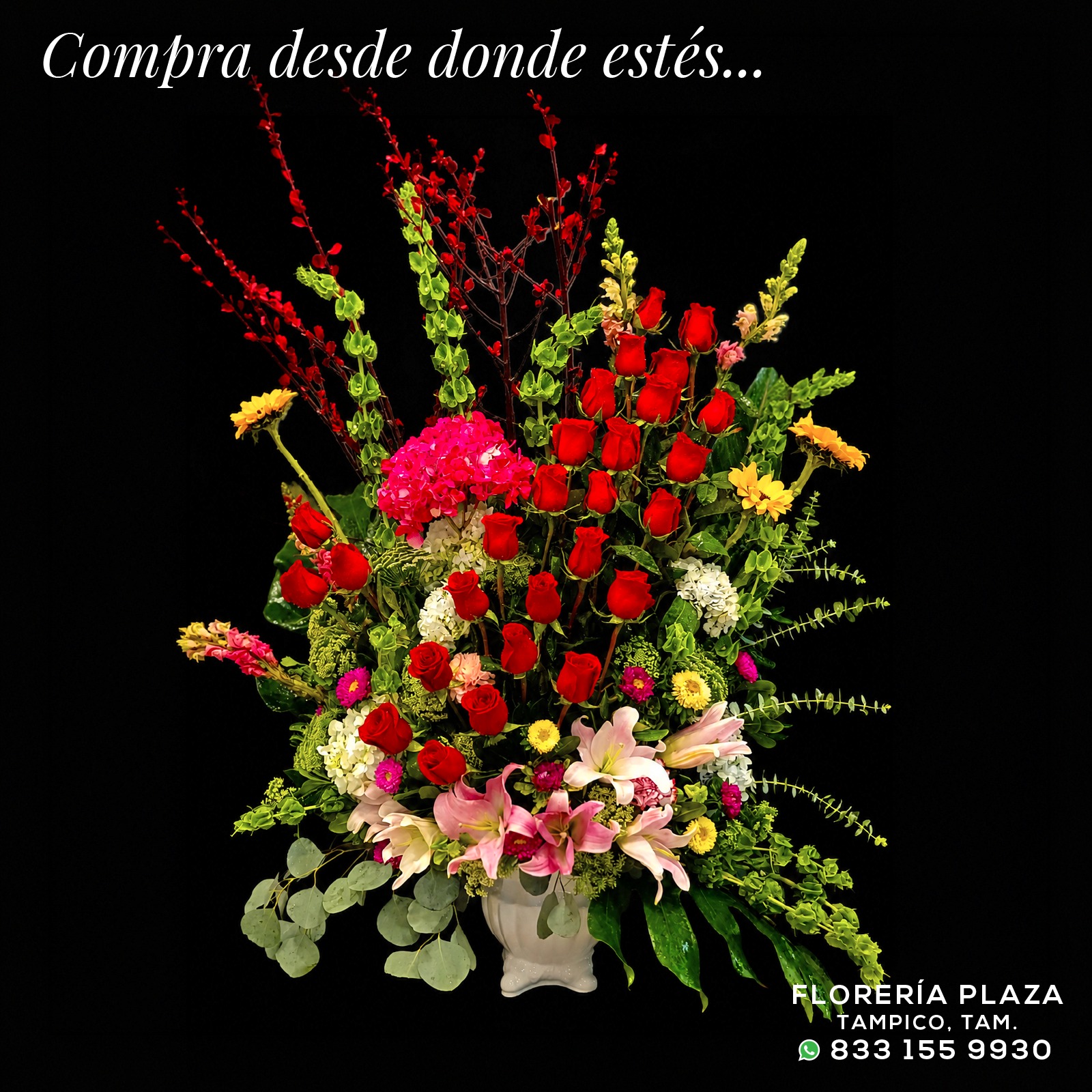Fresh Flowers Every Day!
🛒 Compra desde donde estés, fácil y rápido
aquí: https://tienda.floreriaplaza.com/
¿Prefieres atención personal?
📍 Visítanos: Faja de Oro 204, Lomas de Rosales, Tampico
📞 Llámanos: 833 224 4128, 833 224 4129, 833 224 1144
📲 WhatsApp: https://wa.me/5218331559930
#floreriaplazalomas #floreriaplazaentampico #dígaloconflores #TampicoMadero #ventaenlínea #floresnaturales