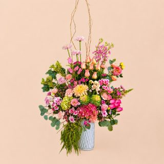 Diseños florales únicos y frescos todos los días.
Visítanos en Florería Plaza, ubicada en Lomas de Rosales
(frente a la iglesia), y déjate cautivar por nuestros arreglos.
¡Llévate un regalo sorpresa en tu compra en sucursal!
🛒 Compra desde donde estés, fácil y rápido aquí: https://tienda.floreriaplaza.com/
Atención inmediata:
📲 WhatsApp: https://wa.me/5218331559930
#floreriaplazalomas #floreriaplazaentampico #dígaloconflores #TampicoMadero #ventaenlínea #floresnaturales🌸