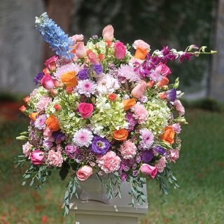 Diseños florales únicos y frescos todos los días.
Visítanos en Florería Plaza, ubicada en Lomas de Rosales
(frente a la iglesia), y déjate cautivar por nuestros arreglos.
¡Llévate un regalo sorpresa en tu compra en sucursal!
🛒 Compra desde donde estés, fácil y rápido aquí: https://tienda.floreriaplaza.com/
Atención inmediata:
📲 WhatsApp: https://wa.me/5218331559930
#floreriaplazalomas #floreriaplazaentampico #dígaloconflores #TampicoMadero #ventaenlínea #floresnaturales