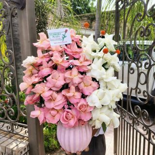 Diseños florales únicos y frescos todos los días.
Visítanos en Florería Plaza, ubicada en Lomas de Rosales
(frente a la iglesia), y déjate cautivar por nuestros arreglos.
¡Llévate un regalo sorpresa en tu compra en sucursal!

🛒 Compra desde donde estés, fácil y rápido aquí: https://tienda.floreriaplaza.com/
Atención inmediata:
📲 WhatsApp: https://wa.me/5218331559930

#floreriaplazalomas #floreriaplazaentampico #dígaloconflores #TampicoMadero #ventaenlínea #floresnaturales