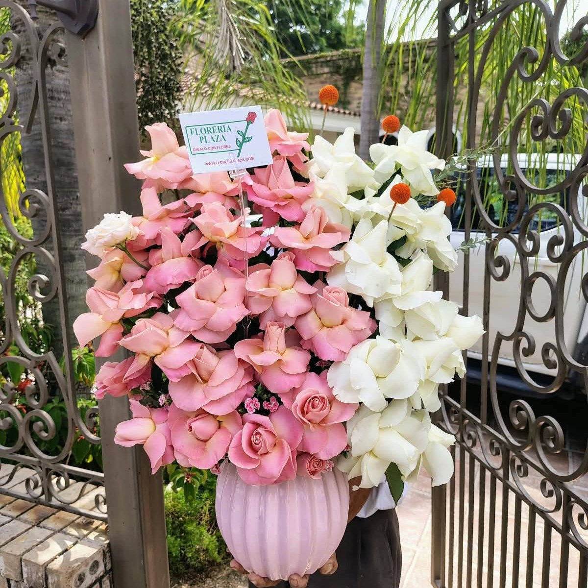 Diseños florales únicos y frescos todos los días.
Visítanos en Florería Plaza, ubicada en Lomas de Rosales
(frente a la iglesia), y déjate cautivar por nuestros arreglos.
¡Llévate un regalo sorpresa en tu compra en sucursal!

🛒 Compra desde donde estés, fácil y rápido aquí: https://tienda.floreriaplaza.com/
Atención inmediata:
📲 WhatsApp: https://wa.me/5218331559930

#floreriaplazalomas #floreriaplazaentampico #dígaloconflores #TampicoMadero #ventaenlínea #floresnaturales