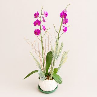 Diseños florales únicos y frescos todos los días.
Visítanos en Florería Plaza, ubicada en Lomas de Rosales
(frente a la iglesia), y déjate cautivar por nuestros arreglos.
¡Llévate un regalo sorpresa en tu compra en sucursal!
🛒 Compra desde donde estés, fácil y rápido aquí: https://tienda.floreriaplaza.com/
Atención inmediata:
📲 WhatsApp: https://wa.me/5218331559930
#floreriaplazalomas #floreriaplazaentampico #dígaloconflores #TampicoMadero #ventaenlínea #floresnaturales🌸