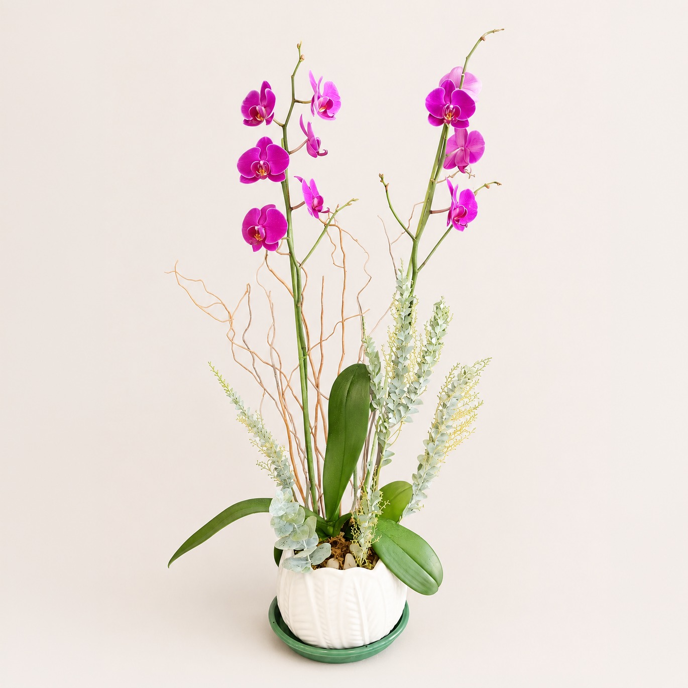 Diseños florales únicos y frescos todos los días.
Visítanos en Florería Plaza, ubicada en Lomas de Rosales
(frente a la iglesia), y déjate cautivar por nuestros arreglos.
¡Llévate un regalo sorpresa en tu compra en sucursal!
🛒 Compra desde donde estés, fácil y rápido aquí: https://tienda.floreriaplaza.com/
Atención inmediata:
📲 WhatsApp: https://wa.me/5218331559930
#floreriaplazalomas #floreriaplazaentampico #dígaloconflores #TampicoMadero #ventaenlínea #floresnaturales🌸
