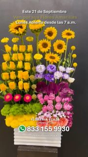 🌻💛 ¡Sórprendela con un ramo o arreglo de Flores Amarillas!🌻💛
Lunes 21 de Septiembre Abierto desde las 7 am
Recuerda que estamos frente a la iglesia en Lomas de Rosales.
¡Pasa por tu arreglo y llévate una sorpresa extra!
Atención inmediata:
📲 WhatsApp: https://wa.me/5218331559930
#FloresAmarillas #21DeSeptiembre #FloreriaPlaza #RegaloSorpresa