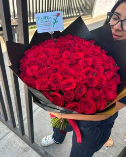 Diseños florales únicos y frescos todos los días.
Visítanos en Florería Plaza, ubicada en Lomas de Rosales
(frente a la iglesia), y déjate cautivar por nuestros arreglos.
¡Llévate un regalo sorpresa en tu compra en sucursal!

🛒 Compra desde donde estés, fácil y rápido aquí: https://tienda.floreriaplaza.com/
Atención inmediata:
📲 WhatsApp: https://wa.me/5218331559930

#floreriaplazalomas #floreriaplazaentampico #dígaloconflores #TampicoMadero #ventaenlínea #floresnaturales🌸