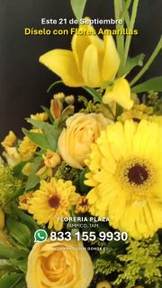 馃尰馃挍 隆S贸rprendela con un ramo o arreglo de Flores Amarillas!馃尰馃挍
Recuerda que estamos frente a la iglesia en Lomas de Rosales.
隆Pasa por tu arreglo y ll茅vate una sorpresa extra!
Atenci贸n inmediata:
馃摬 WhatsApp: https://wa.me/5218331559930
#FloresAmarillas #21DeSeptiembre #FloreriaPlaza #RegaloSorpresa