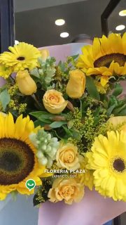 馃尰馃挍 隆S贸rprendela con un ramo o arreglo de Flores Amarillas!馃尰馃挍
Recuerda que estamos frente a la iglesia en Lomas de Rosales.
隆Pasa por tu arreglo y ll茅vate una sorpresa extra!
Atenci贸n inmediata:
馃摬 WhatsApp: https://wa.me/5218331559930
#FloresAmarillas #21DeSeptiembre #FloreriaPlaza #RegaloSorpresa
