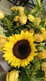 馃尰馃挍 隆S贸rprendela con un ramo o arreglo de Flores Amarillas!馃尰馃挍
Recuerda que estamos frente a la iglesia en Lomas de Rosales.
隆Pasa por tu arreglo y ll茅vate una sorpresa extra!
Atenci贸n inmediata:
馃摬 WhatsApp: https://wa.me/5218331559930
#FloresAmarillas #21DeSeptiembre #FloreriaPlaza #RegaloSorpresa