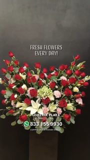Dise帽os florales 煤nicos y frescos todos los d铆as.
Vis铆tanos en Florer铆a Plaza, ubicada en Lomas de Rosales
(frente a la iglesia), y d茅jate cautivar por nuestros arreglos.
隆Ll茅vate un regalo sorpresa en tu compra en sucursal!
馃洅 Compra desde donde est茅s, f谩cil y r谩pido aqu铆: https://tienda.floreriaplaza.com/
Atenci贸n inmediata:
馃摬 WhatsApp: https://wa.me/5218331559930
#floreriaplazalomas #floreriaplazaentampico #d铆galoconflores #TampicoMadero #ventaenl铆nea #floresnaturales馃尭