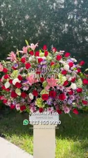 Diseños florales únicos y frescos todos los días.
Visítanos en Florería Plaza, ubicada en Lomas de Rosales
(frente a la iglesia), y déjate cautivar por nuestros arreglos.
¡Llévate un regalo sorpresa en tu compra en sucursal!
🛒 Compra desde donde estés, fácil y rápido aquí: https://tienda.floreriaplaza.com/
Atención inmediata:
📲 WhatsApp: https://wa.me/5218331559930
#floreriaplazalomas #floreriaplazaentampico #dígaloconflores #TampicoMadero #ventaenlínea #floresnaturales🌸