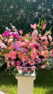 Diseños florales únicos y frescos todos los días.
Visítanos en Florería Plaza, ubicada en Lomas de Rosales
(frente a la iglesia), y déjate cautivar por nuestros arreglos.
¡Llévate un regalo sorpresa en tu compra en sucursal!
🛒 Compra desde donde estés, fácil y rápido aquí: https://tienda.floreriaplaza.com/
Atención inmediata:
📲 WhatsApp: https://wa.me/5218331559930
#floreriaplazalomas #floreriaplazaentampico #dígaloconflores #TampicoMadero #ventaenlínea #floresnaturales🌸