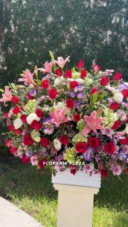 Diseños florales únicos y frescos todos los días.
Visítanos en Florería Plaza, ubicada en Lomas de Rosales
(frente a la iglesia), y déjate cautivar por nuestros arreglos.
¡Llévate un regalo sorpresa en tu compra en sucursal!
🛒 Compra desde donde estés, fácil y rápido aquí: https://tienda.floreriaplaza.com/
Atención inmediata:
📲 WhatsApp: https://wa.me/5218331559930
#floreriaplazalomas #floreriaplazaentampico #dígaloconflores #TampicoMadero #ventaenlínea #floresnaturales🌸