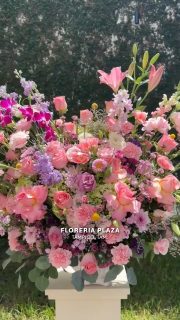 Diseños florales únicos y frescos todos los días.
Visítanos en Florería Plaza, ubicada en Lomas de Rosales
(frente a la iglesia), y déjate cautivar por nuestros arreglos.
¡Llévate un regalo sorpresa en tu compra en sucursal!
🛒 Compra desde donde estés, fácil y rápido aquí: https://tienda.floreriaplaza.com/
Atención inmediata:
📲 WhatsApp: https://wa.me/5218331559930
#floreriaplazalomas #floreriaplazaentampico #dígaloconflores #TampicoMadero #ventaenlínea #floresnaturales🌸