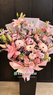 Diseños florales únicos y frescos todos los días.
Visítanos en Florería Plaza, ubicada en Lomas de Rosales
(frente a la iglesia), y déjate cautivar por nuestros arreglos.
¡Llévate un regalo sorpresa en tu compra en sucursal!
🛒 Compra desde donde estés, fácil y rápido aquí: https://tienda.floreriaplaza.com/
Atención inmediata:
📲 WhatsApp: https://wa.me/5218331559930
#floreriaplazalomas #floreriaplazaentampico #dígaloconflores #TampicoMadero #ventaenlínea #floresnaturales🌸