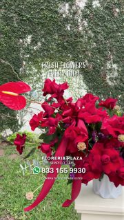 Diseños florales únicos y frescos todos los días.
Visítanos en Florería Plaza, ubicada en Lomas de Rosales
(frente a la iglesia), y déjate cautivar por nuestros arreglos.
¡Llévate un regalo sorpresa en tu compra en sucursal!
🛒 Compra desde donde estés, fácil y rápido aquí: https://tienda.floreriaplaza.com/
Atención inmediata:
📲 WhatsApp: https://wa.me/5218331559930
#floreriaplazalomas #floreriaplazaentampico #dígaloconflores #TampicoMadero #ventaenlínea #floresnaturales🌸