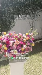 Diseños florales únicos y frescos todos los días.
Visítanos en Florería Plaza, ubicada en Lomas de Rosales
(frente a la iglesia), y déjate cautivar por nuestros arreglos.
¡Llévate un regalo sorpresa en tu compra en sucursal!
🛒 Compra desde donde estés, fácil y rápido aquí: https://tienda.floreriaplaza.com/
Atención inmediata:
📲 WhatsApp: https://wa.me/5218331559930
#floreriaplazalomas #floreriaplazaentampico #dígaloconflores #TampicoMadero #ventaenlínea #floresnaturales🌸