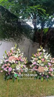 Diseños florales únicos y frescos todos los días.
Visítanos en Florería Plaza, ubicada en Lomas de Rosales
(frente a la iglesia), y déjate cautivar por nuestros arreglos.
¡Llévate un regalo sorpresa en tu compra en sucursal!
🛒 Compra desde donde estés, fácil y rápido aquí: https://tienda.floreriaplaza.com/
Atención inmediata:
📲 WhatsApp: https://wa.me/5218331559930
#floreriaplazalomas #floreriaplazaentampico #dígaloconflores #TampicoMadero #ventaenlínea #floresnaturales🌸
