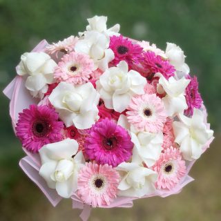 Diseños florales únicos y frescos todos los días.
Visítanos en Florería Plaza, ubicada en Lomas de Rosales
(frente a la iglesia), y déjate cautivar por nuestros arreglos.
¡Llévate un regalo sorpresa en tu compra en sucursal!
🛒 Compra desde donde estés, fácil y rápido aquí: https://tienda.floreriaplaza.com/
Atención inmediata:
📲 WhatsApp: https://wa.me/5218331559930
#floreriaplazalomas #floreriaplazaentampico #dígaloconflores #TampicoMadero #ventaenlínea #floresnaturales🌸
