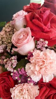 Diseños florales únicos y frescos todos los días.
Visítanos en Florería Plaza, ubicada en Lomas de Rosales
(frente a la iglesia), y déjate cautivar por nuestros arreglos.
¡Llévate un regalo sorpresa en tu compra en sucursal!
🛒 Compra desde donde estés, fácil y rápido aquí: https://tienda.floreriaplaza.com/
Atención inmediata:
📲 WhatsApp: https://wa.me/5218331559930
#floreriaplazalomas #floreriaplazaentampico #dígaloconflores #TampicoMadero #ventaenlínea #floresnaturales🌸