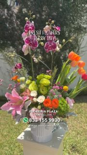¿Olvidaste esa fecha importante o simplemente quieres tener un gran detalle y no tienes tiempo? ⏳🚨
No te compliques. En Florería Plaza tenemos los diseños florales más frescos y hermosos de Tampico listos para sorprender.
👉 Solución rápida online: Pide en segundos desde nuestra tienda web y nosotros nos encargamos del resto: https://tienda.floreriaplaza.com/
👉 Experiencia en tienda: Pasa a nuestra sucursal en Lomas de Rosales (frente a la iglesia), elige el arreglo perfecto .🎁
💬 Habla con nosotros ahora mismo: https://wa.me/5218331559930
#floreriaplazalomas #floreriaplazaentampico #dígaloconflores #TampicoMadero #ventaenlínea #floresnaturales
