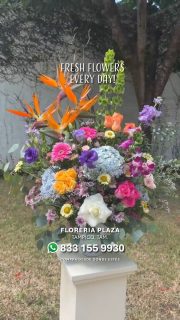 ¿Olvidaste esa fecha importante o simplemente quieres tener un gran detalle y no tienes tiempo? ⏳🚨
No te compliques. En Florería Plaza tenemos los diseños florales más frescos y hermosos de Tampico listos para sorprender.
👉 Solución rápida online: Pide en segundos desde nuestra tienda web y nosotros nos encargamos del resto: https://tienda.floreriaplaza.com/
👉 Experiencia en tienda: Pasa a nuestra sucursal en Lomas de Rosales (frente a la iglesia), elige el arreglo perfecto .🎁
💬 Habla con nosotros ahora mismo: https://wa.me/5218331559930
#floreriaplazalomas #floreriaplazaentampico #dígaloconflores #TampicoMadero #ventaenlínea #floresnaturales