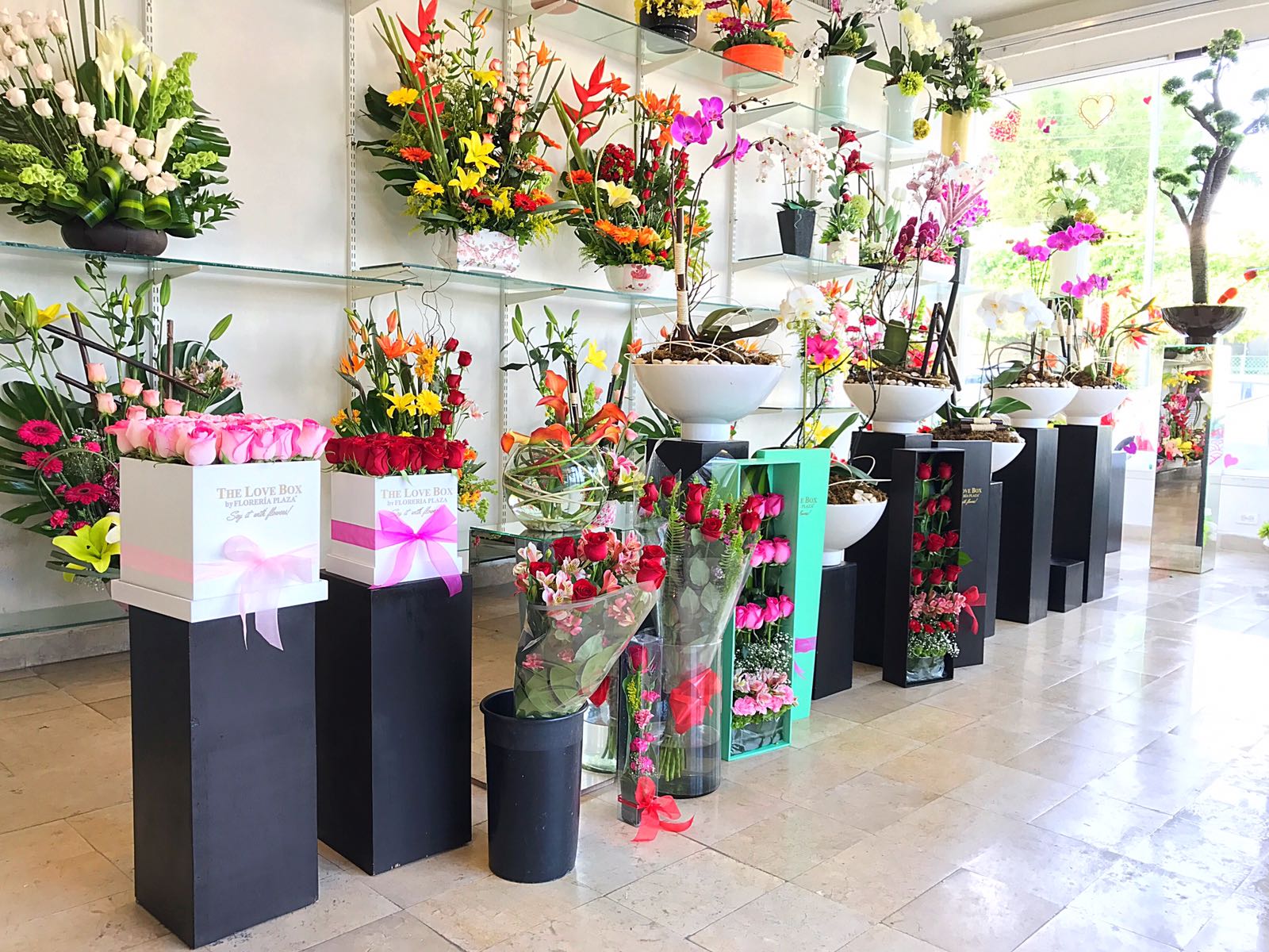 IMG20170605WA0008 Florería Plaza